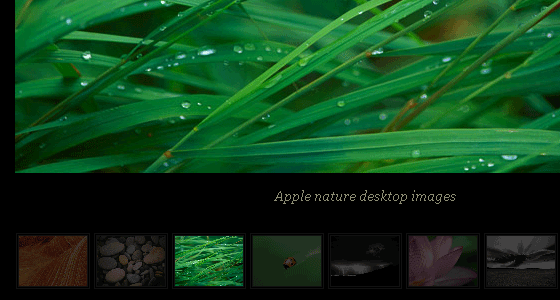 galleria_js galleria_js